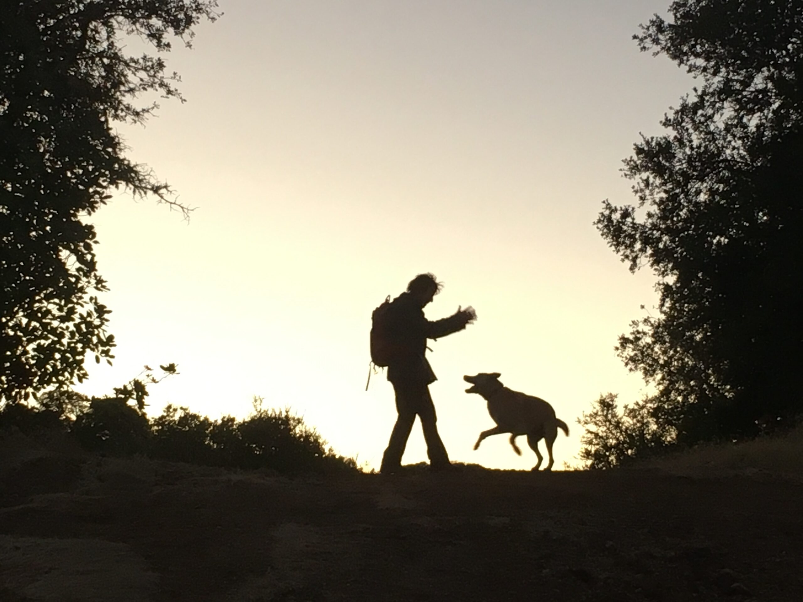 Silhouette of a man with a dog on a trail at sunset.
