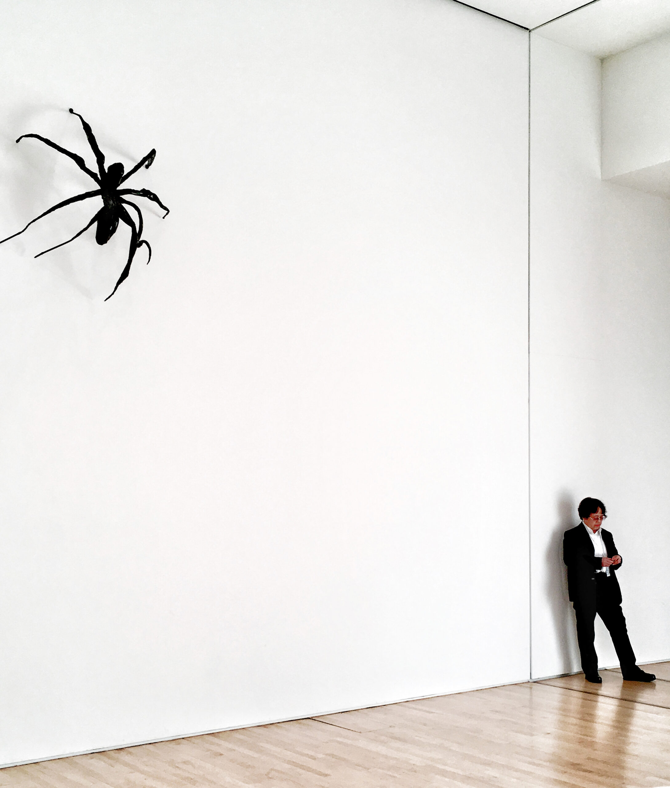 A man standing in front of a wall with a spider hanging from it.