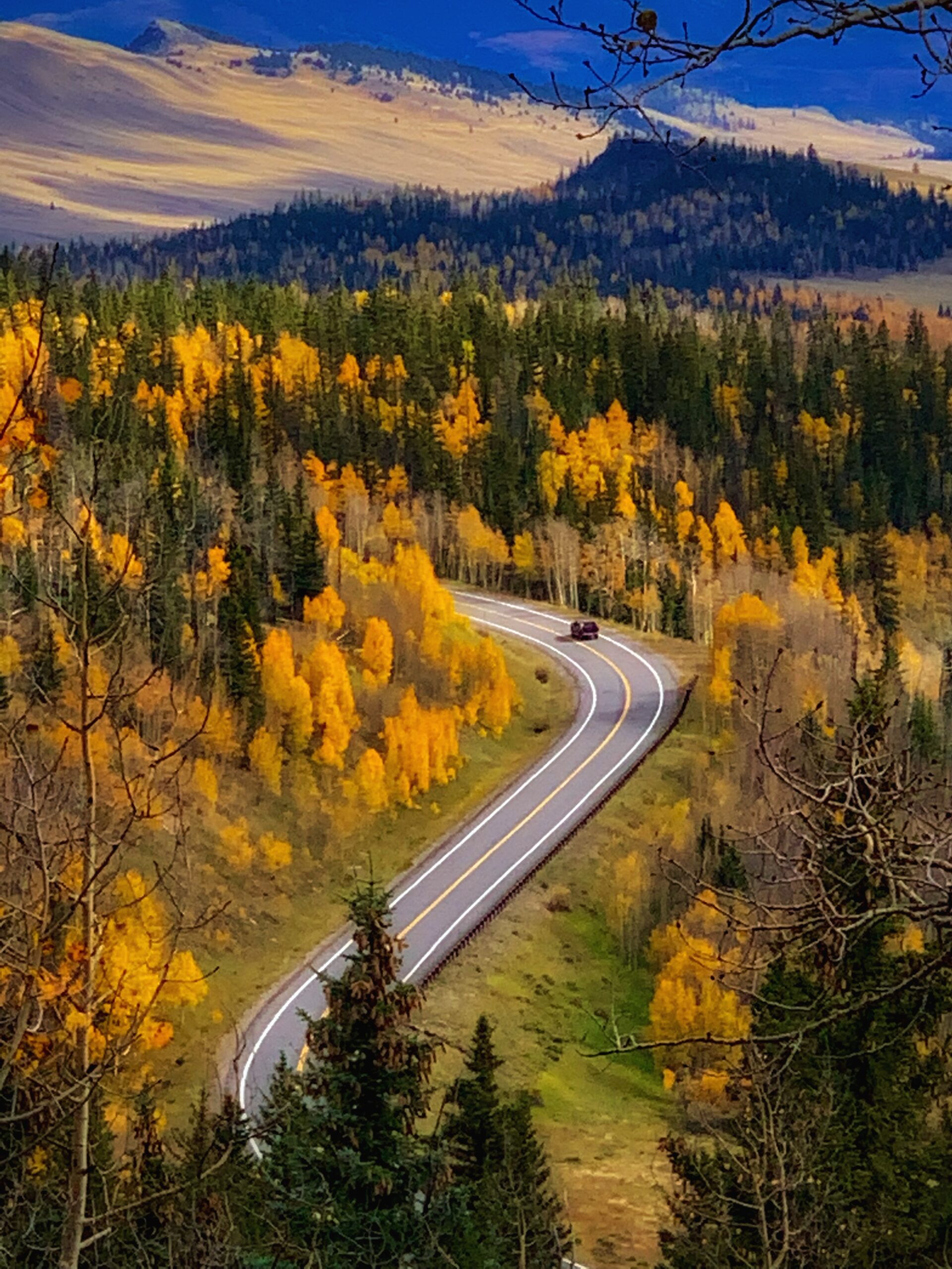 A winding road in the mountains with fall colors.