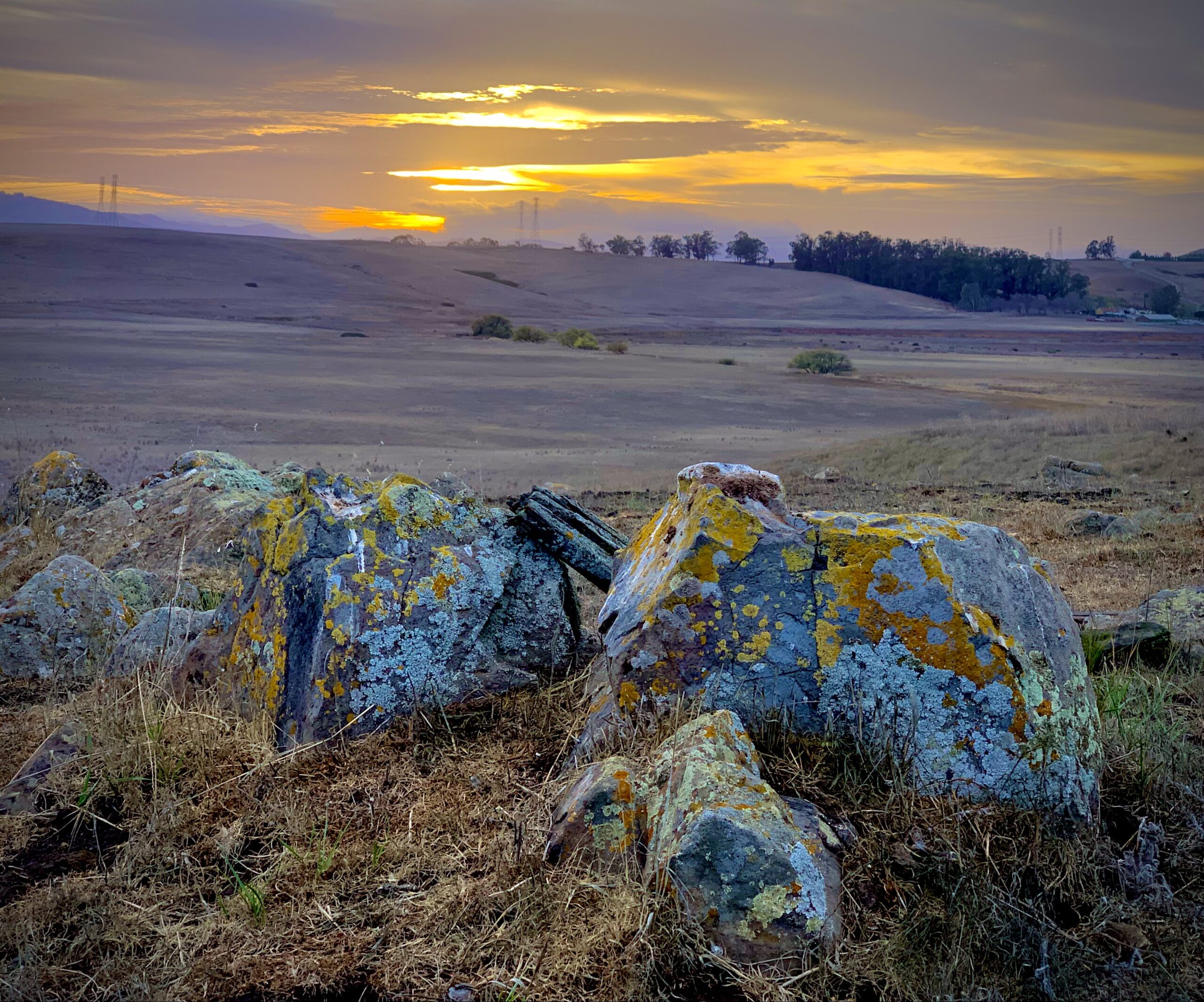 A group of rocks in a field at sunset.