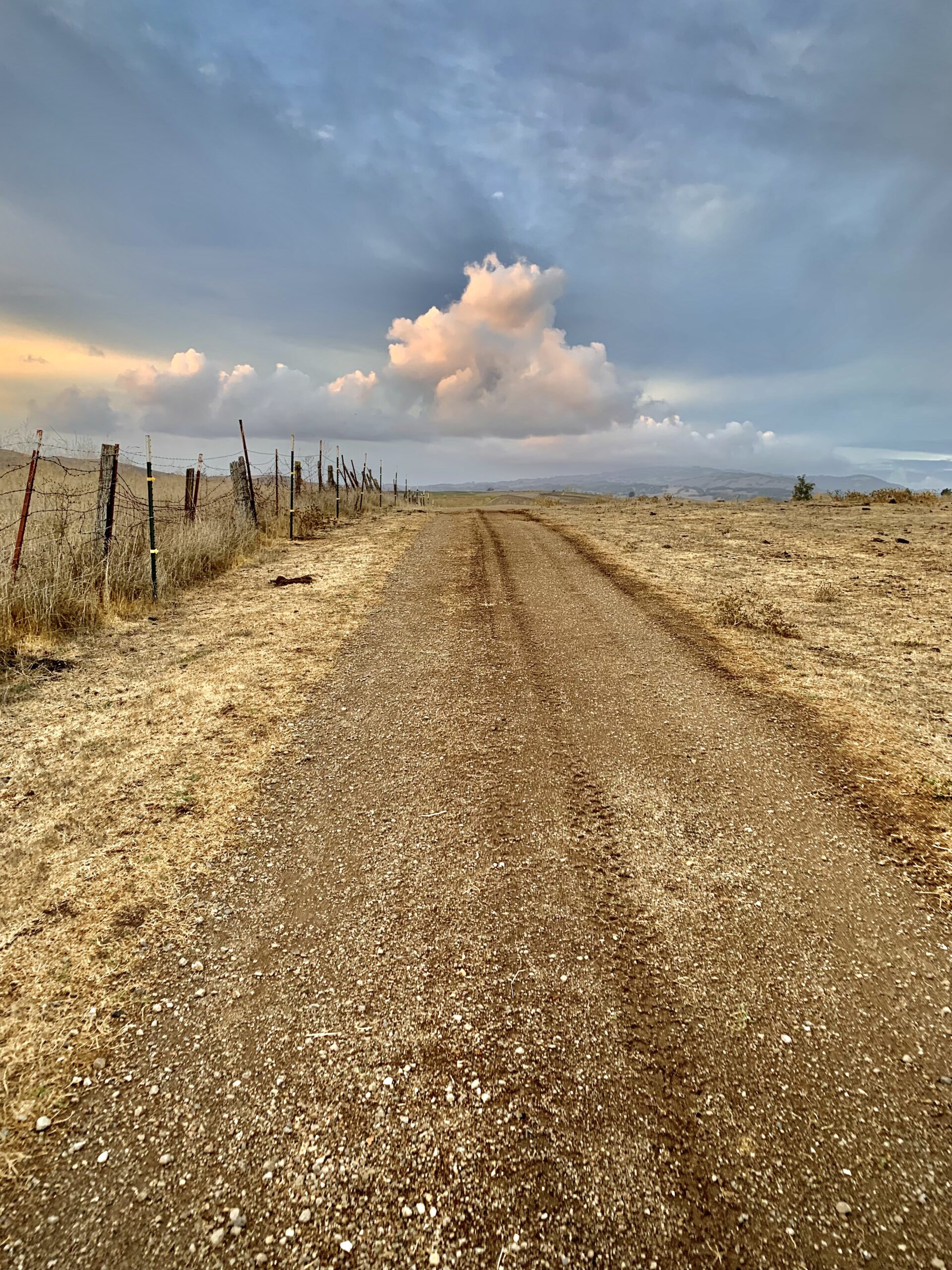 A dirt road in the middle of a field with clouds in the sky.
