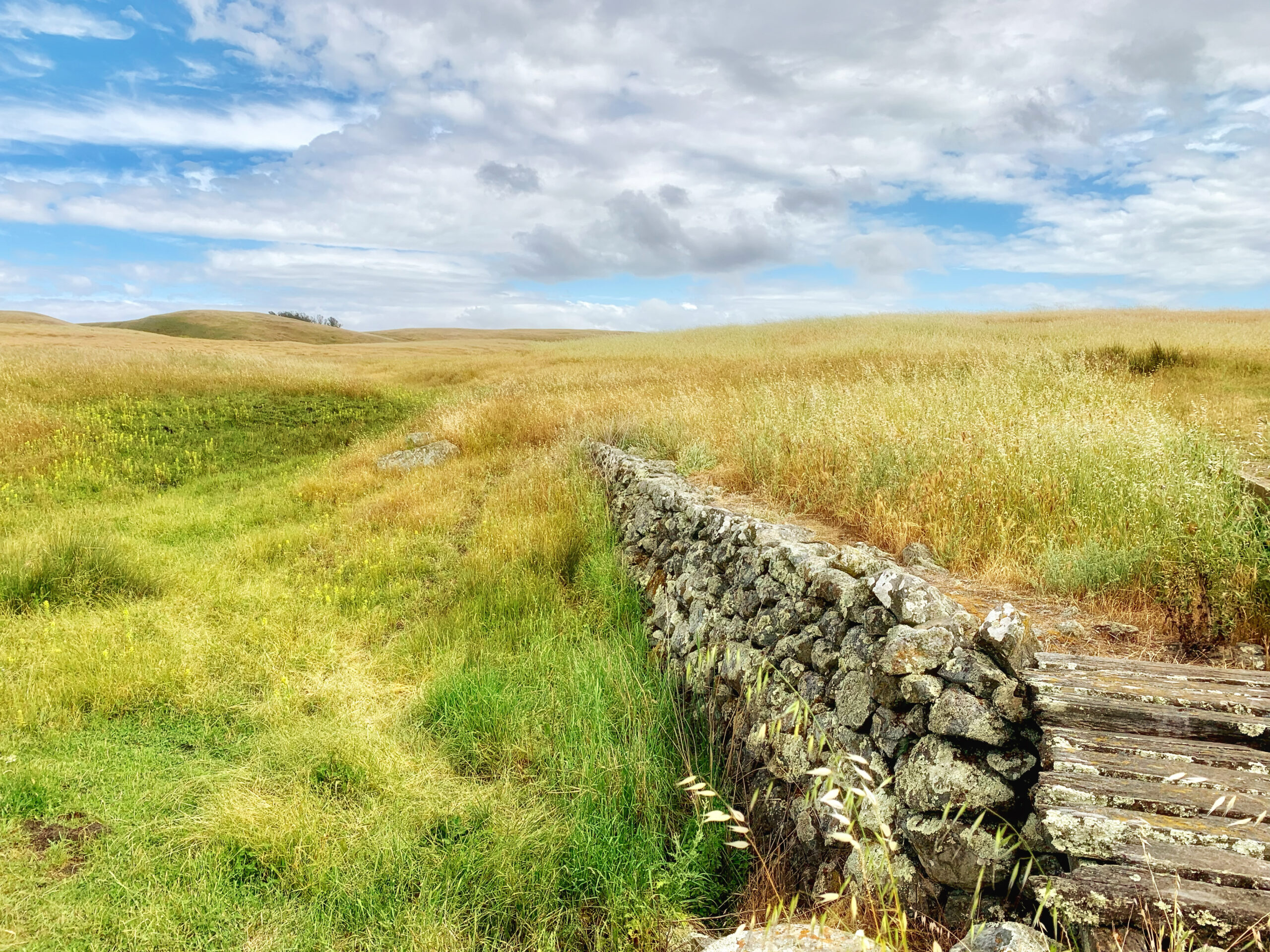 A stone wall in the middle of a grassy field.