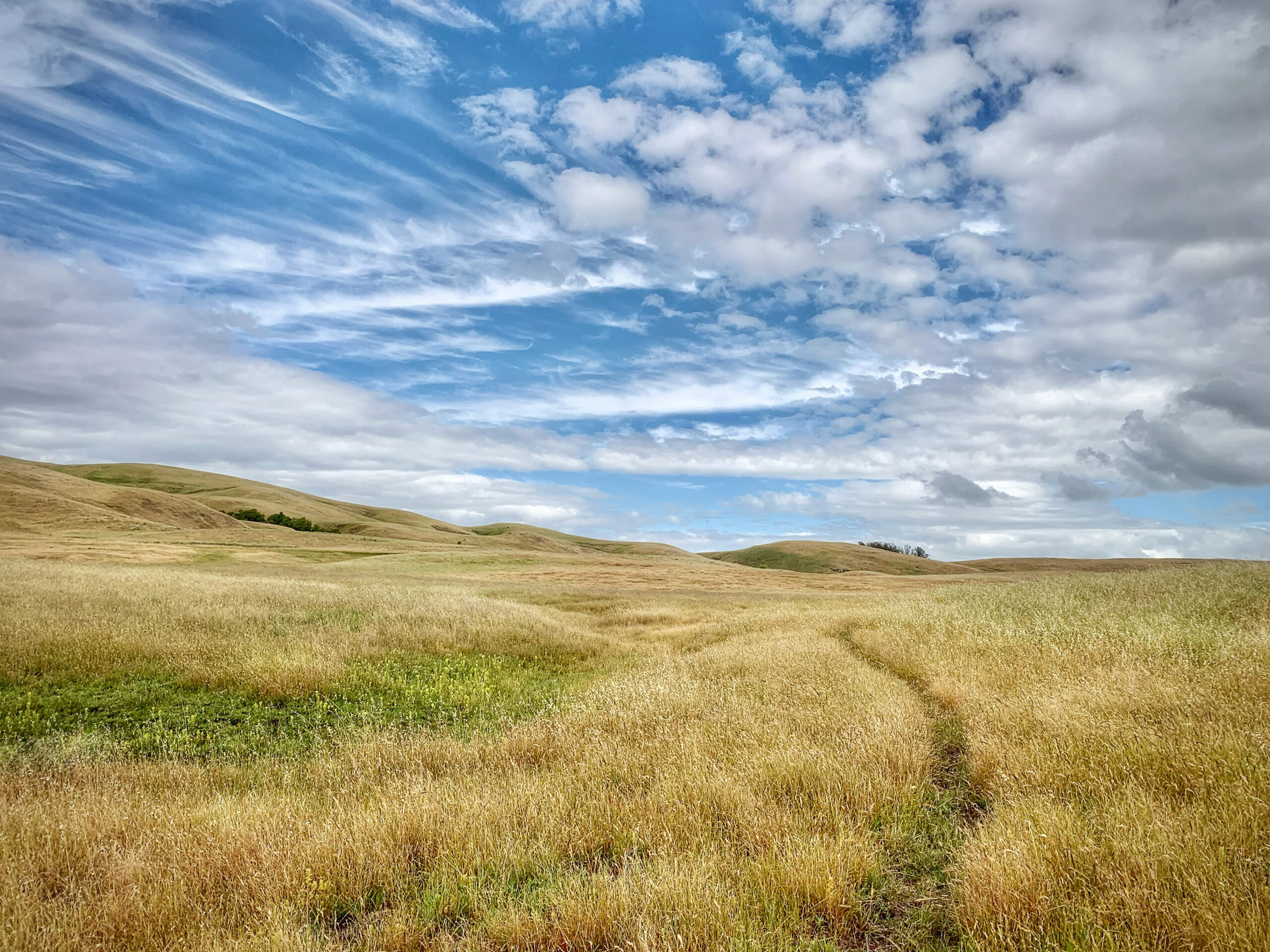 A path through a grassy field under a cloudy sky.