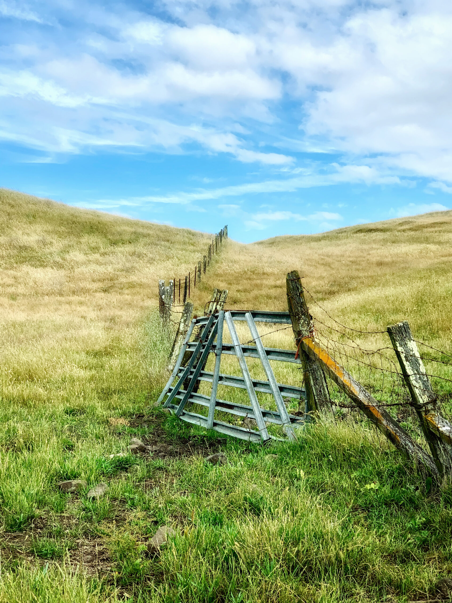 An old wooden fence in a grassy field.