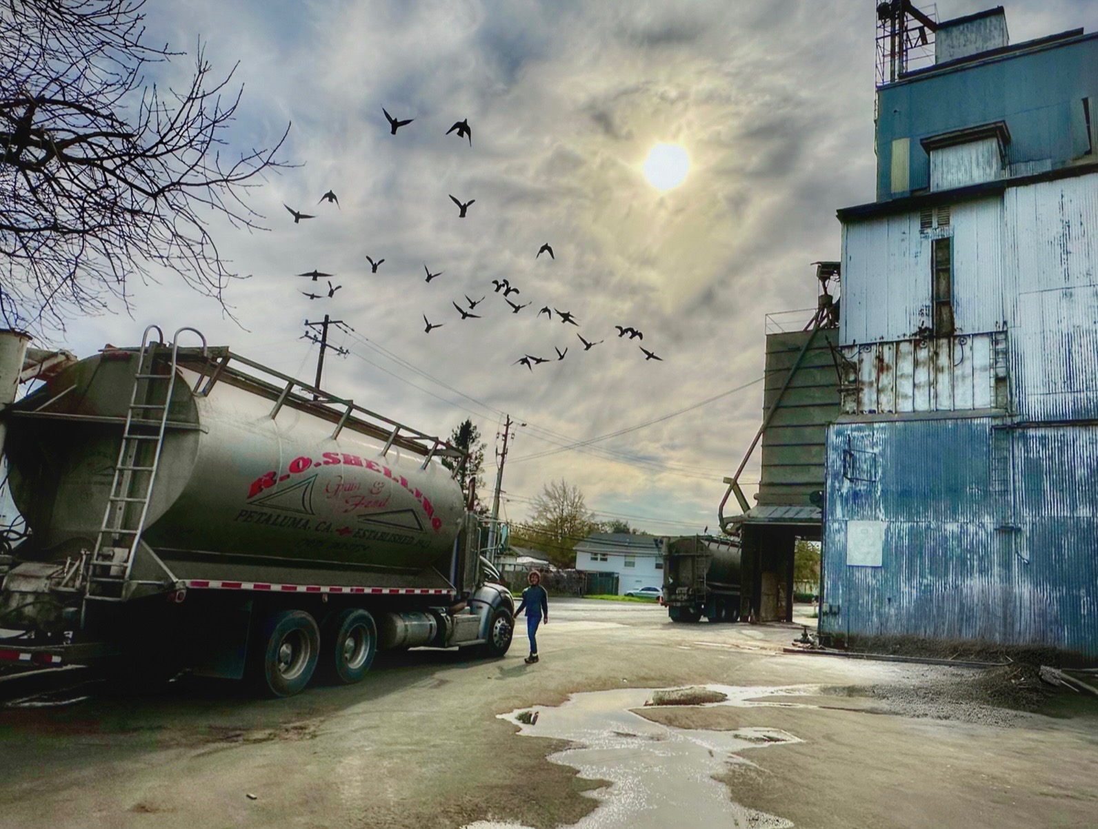 A man is standing next to a truck with birds flying around it.