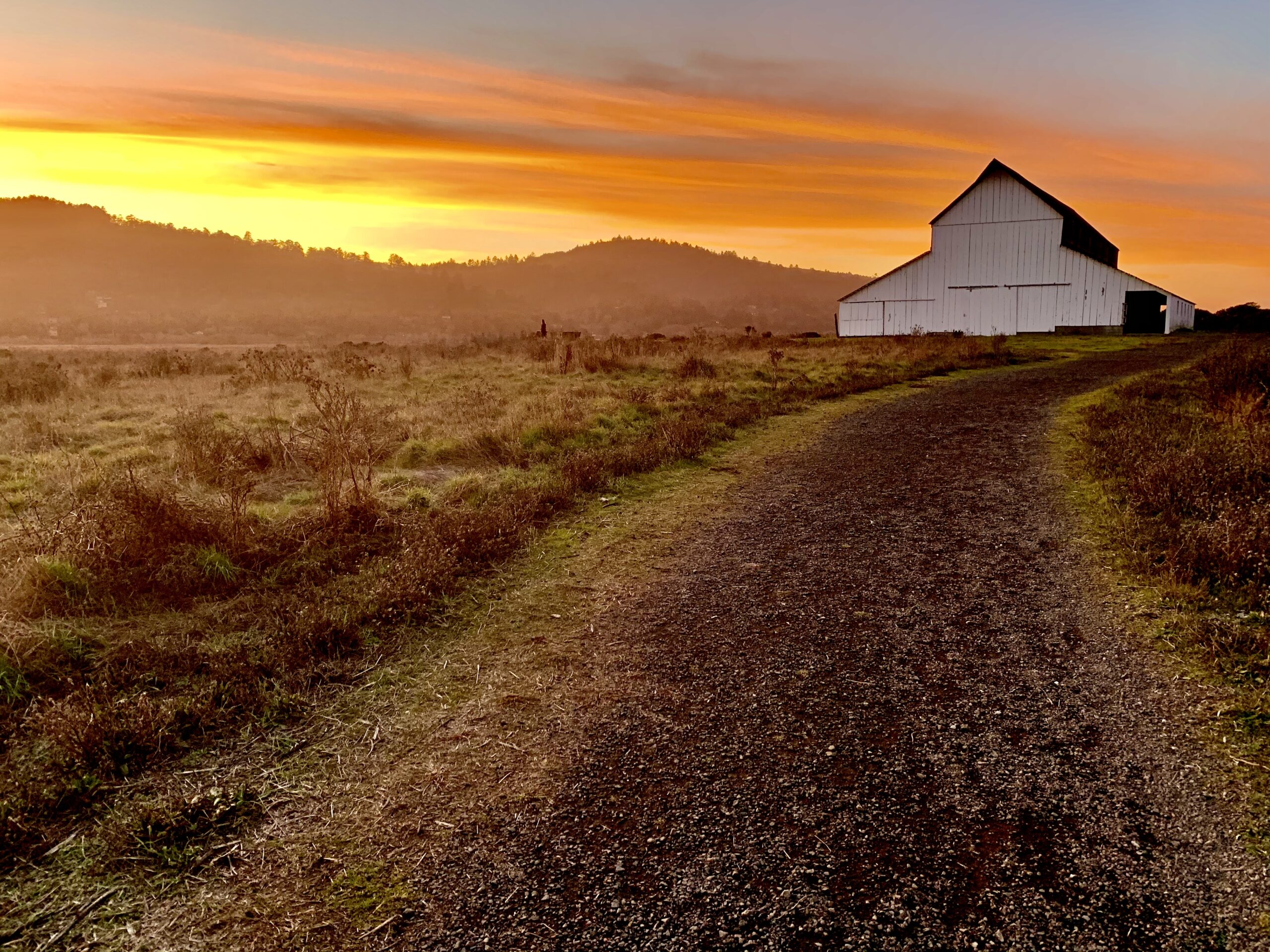 A white barn sits on a dirt road at sunset.